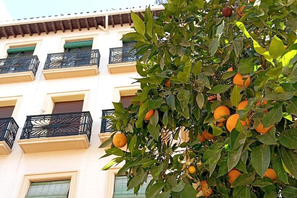 Large Family Home In Albaicin Center Granada Dış mekan fotoğraf